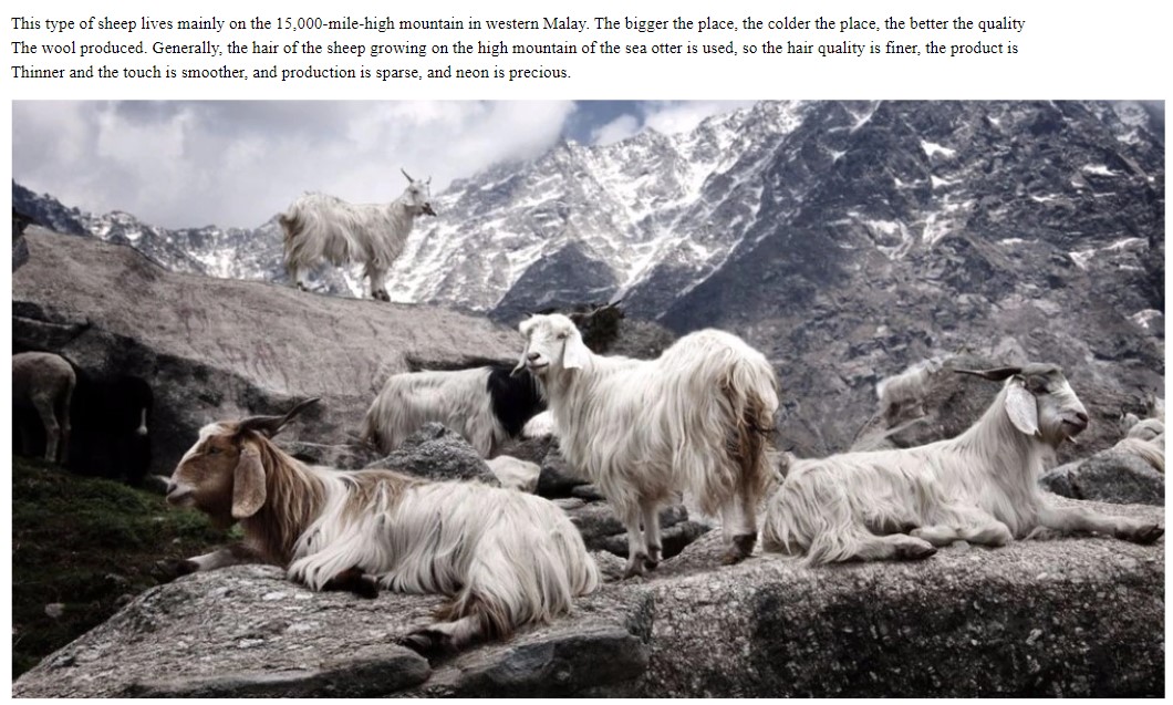 Screenshot 2020-12-11 075040