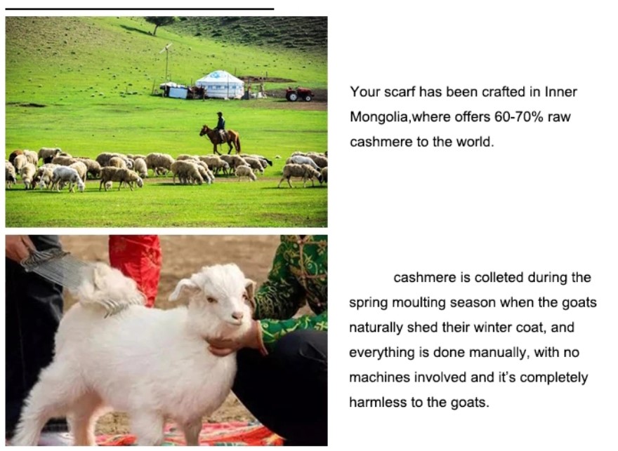 Screenshot 2020-12-11 075216